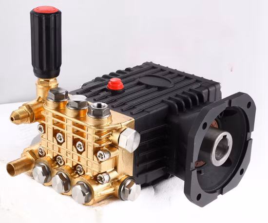 Bomba de alta presión del espray del coche de la bomba de agua de limpieza del equipo de la bomba del lavado de coches del modelo nuevo